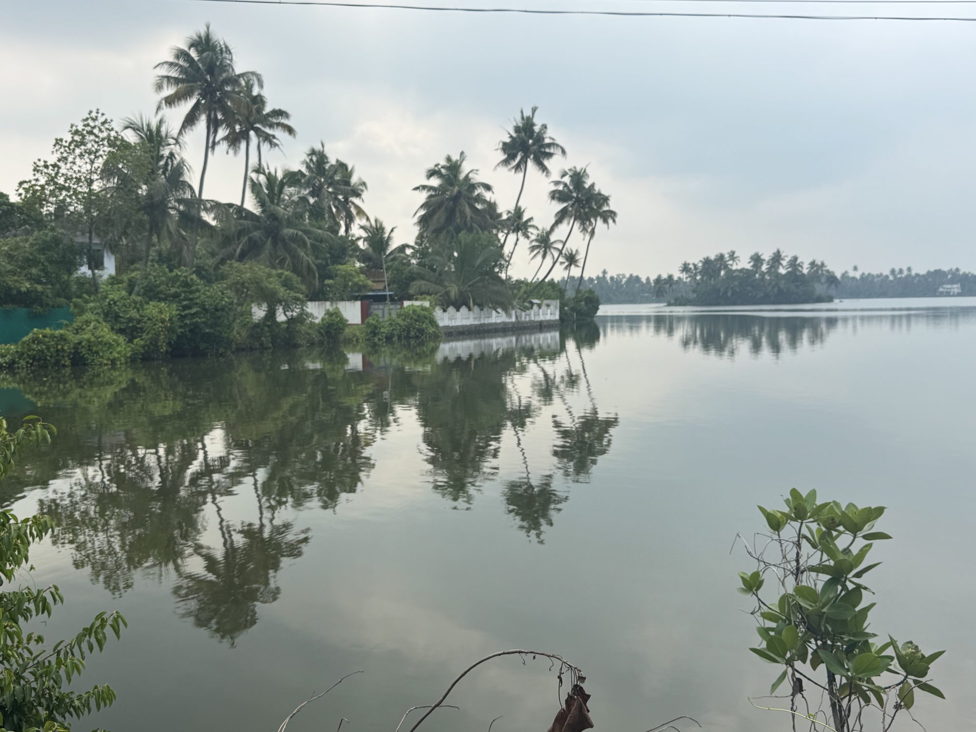 Calm backwater with coconut palms and shoreline foliage reflected in the water