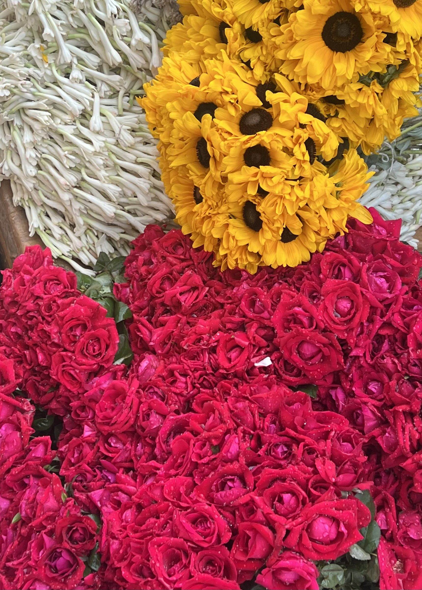Marigold pile