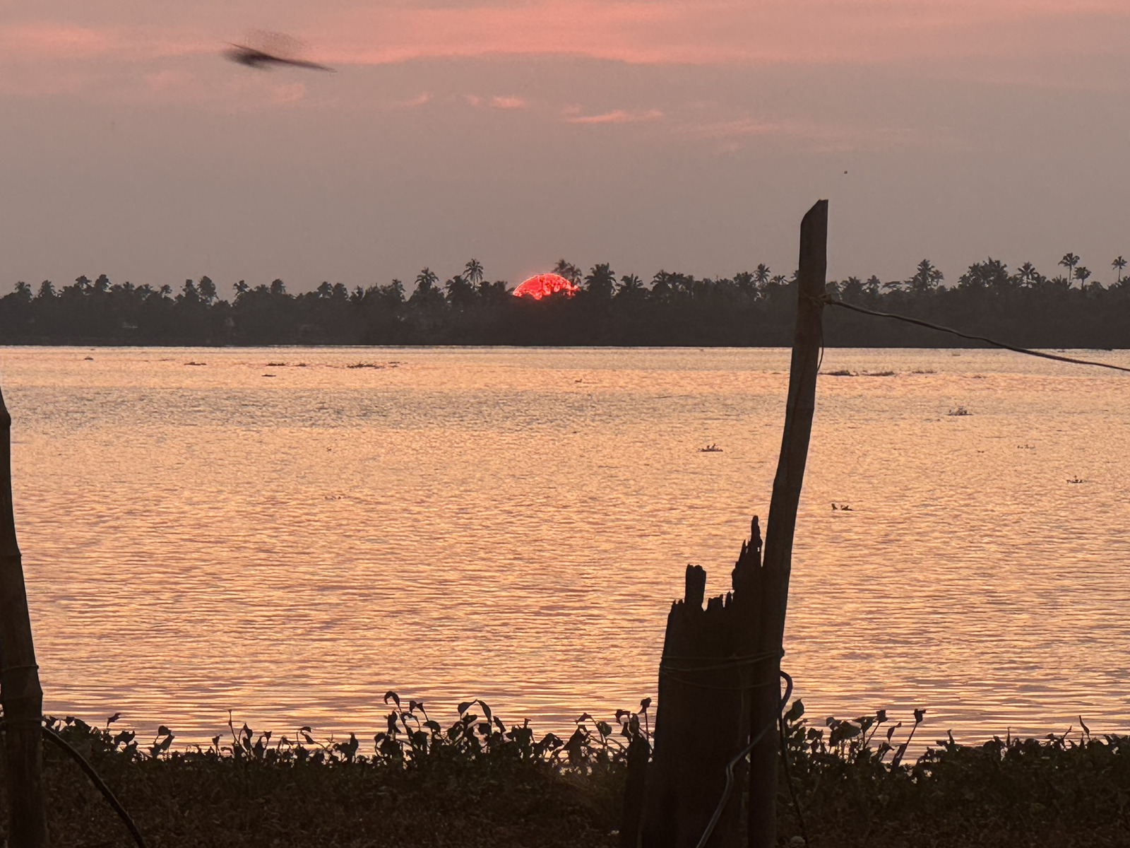 A red sun setting over the backwaters behind a palm-lined shore, framed by weathered wooden posts