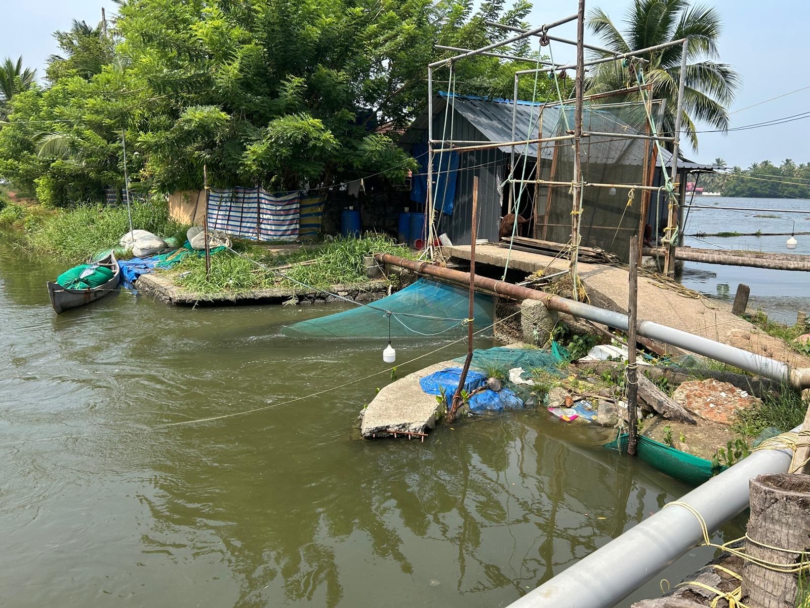 Fish-farming enclosure and canoe beside Garlic Island