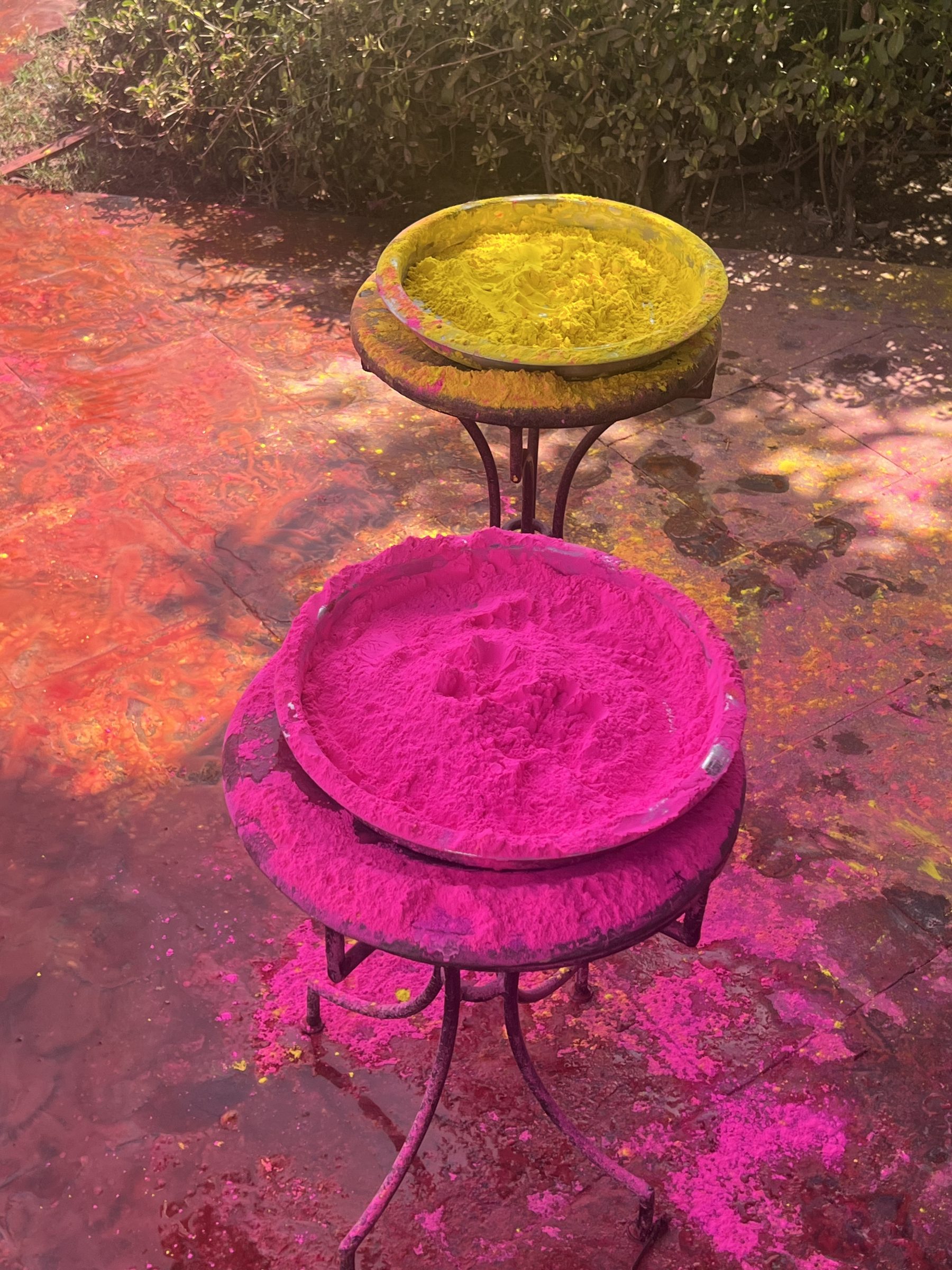 Holi pigments