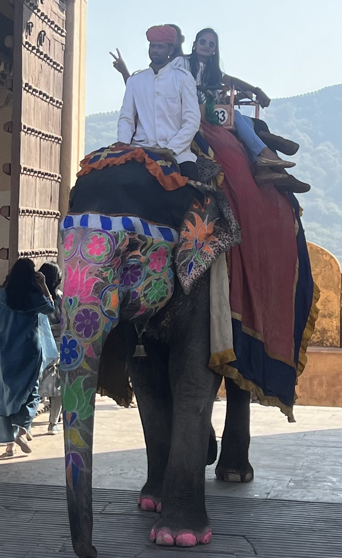 Painted elephant