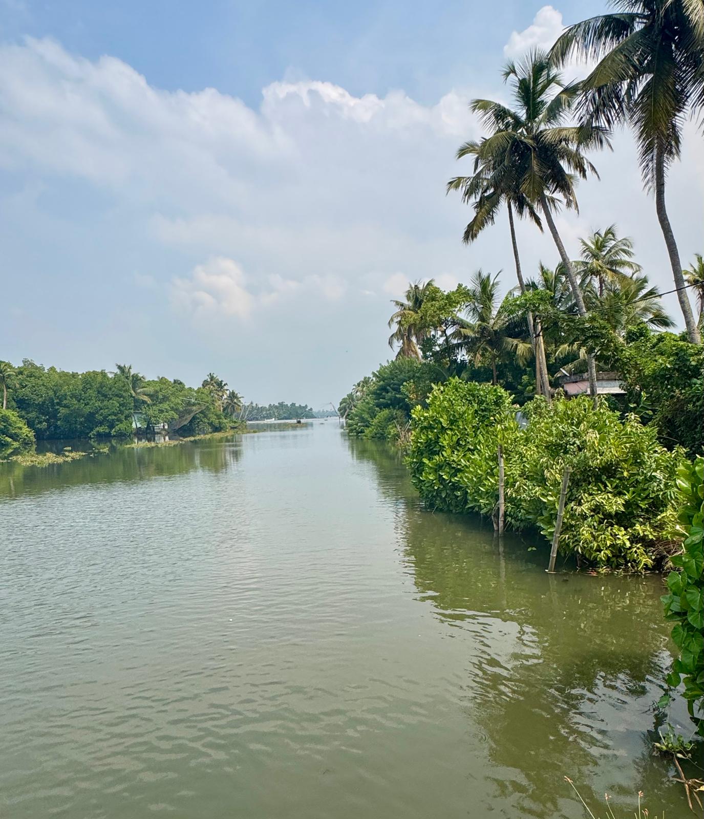 Palm-lined backwater canal in Kerala