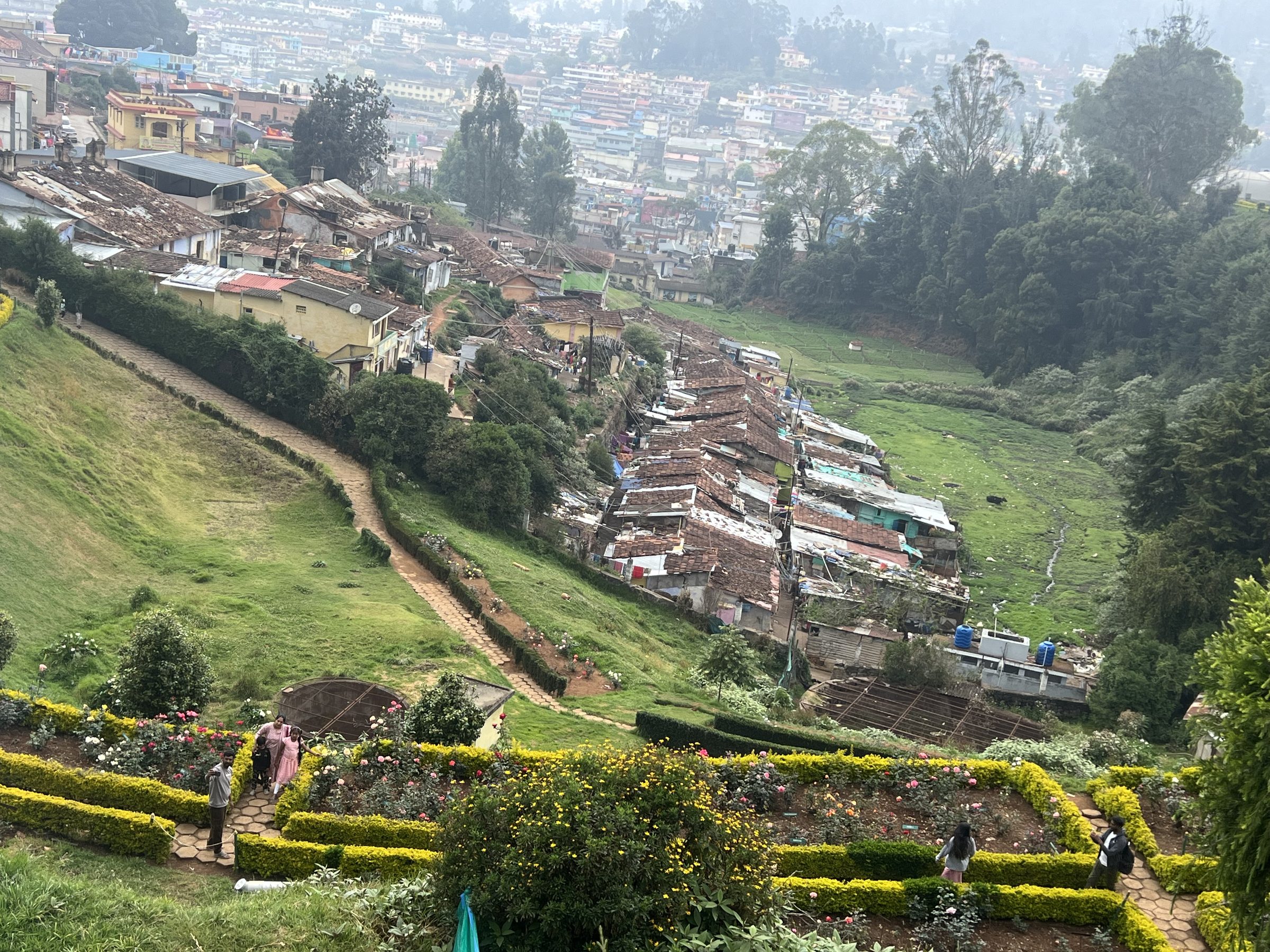 Nilgiri hills