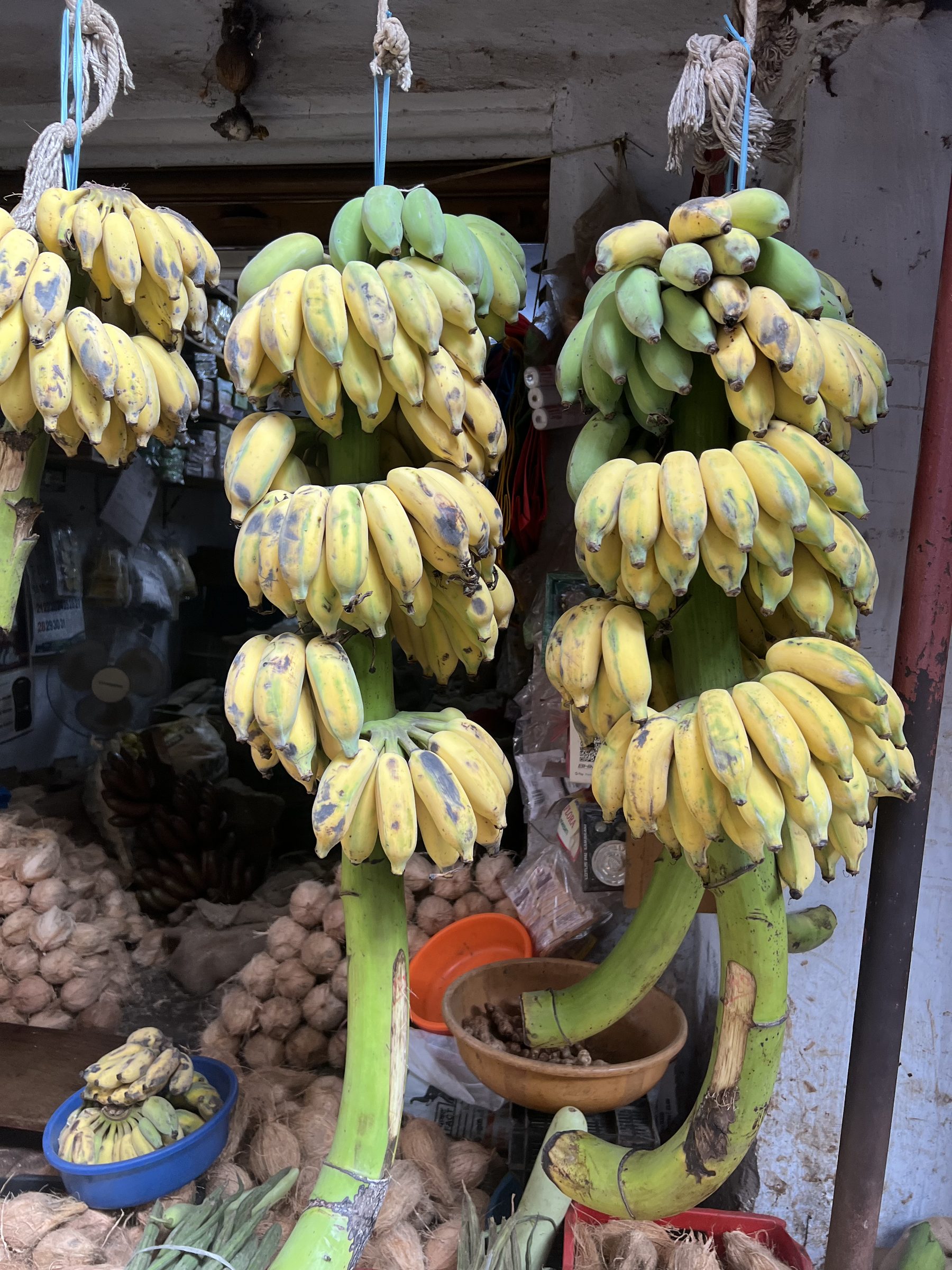 Bananas at market