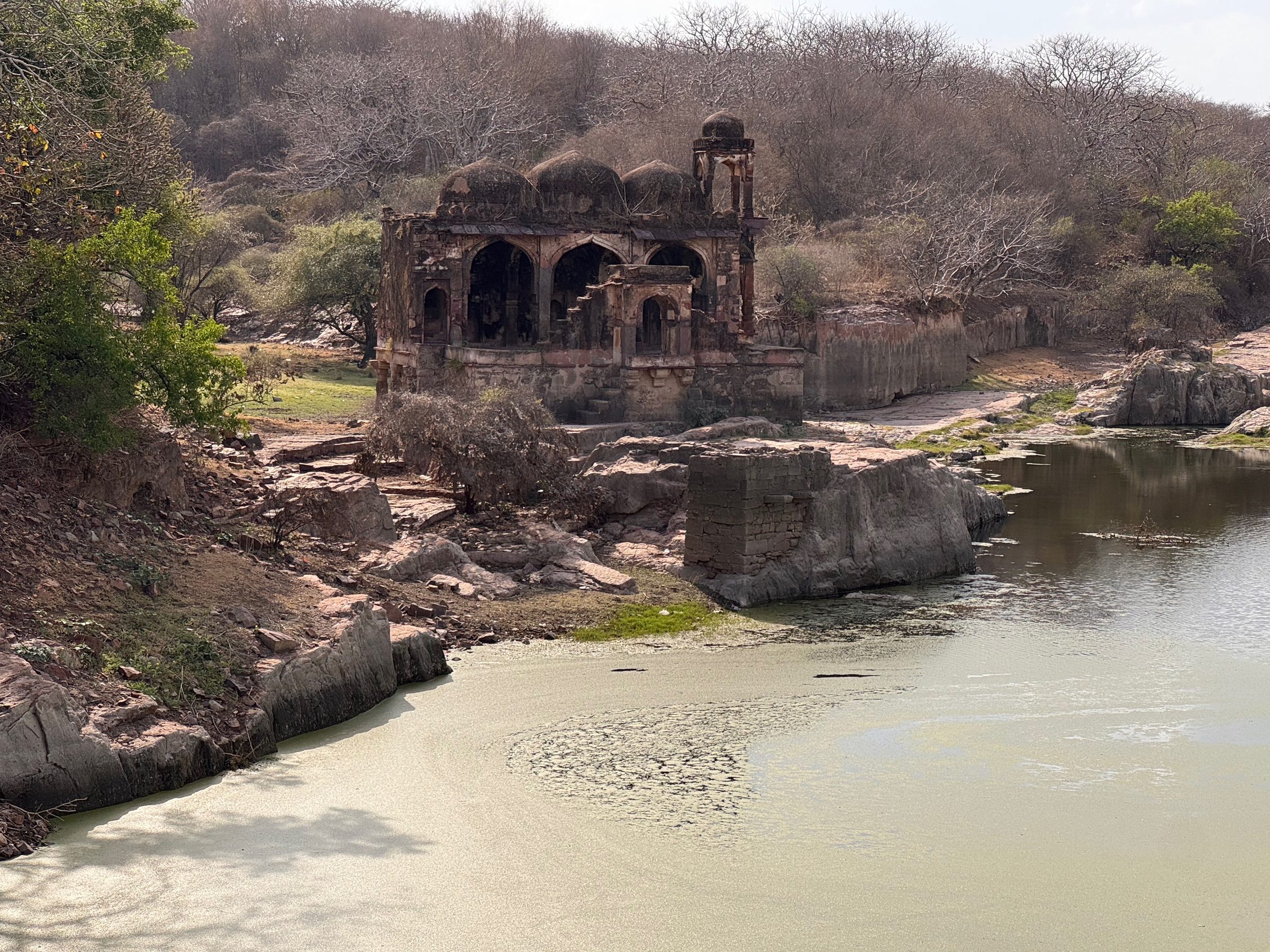 Ranthambore ruins by water