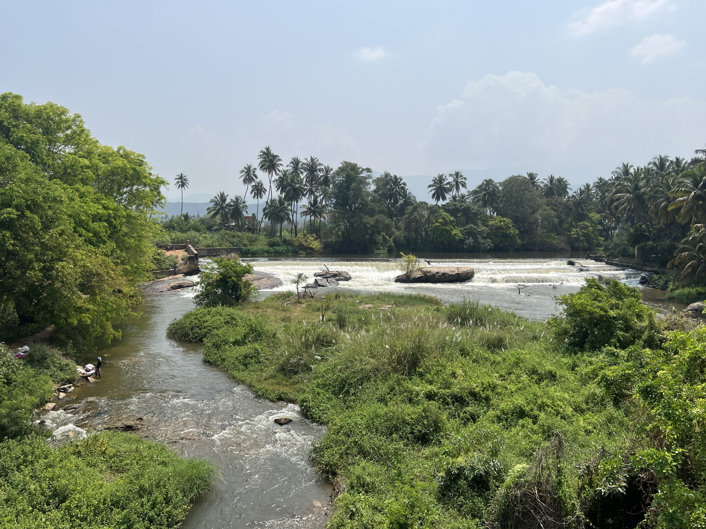 River bend and palms