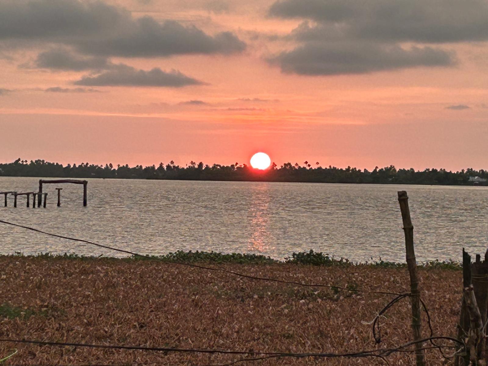 Sun setting over the backwaters behind a line of palms