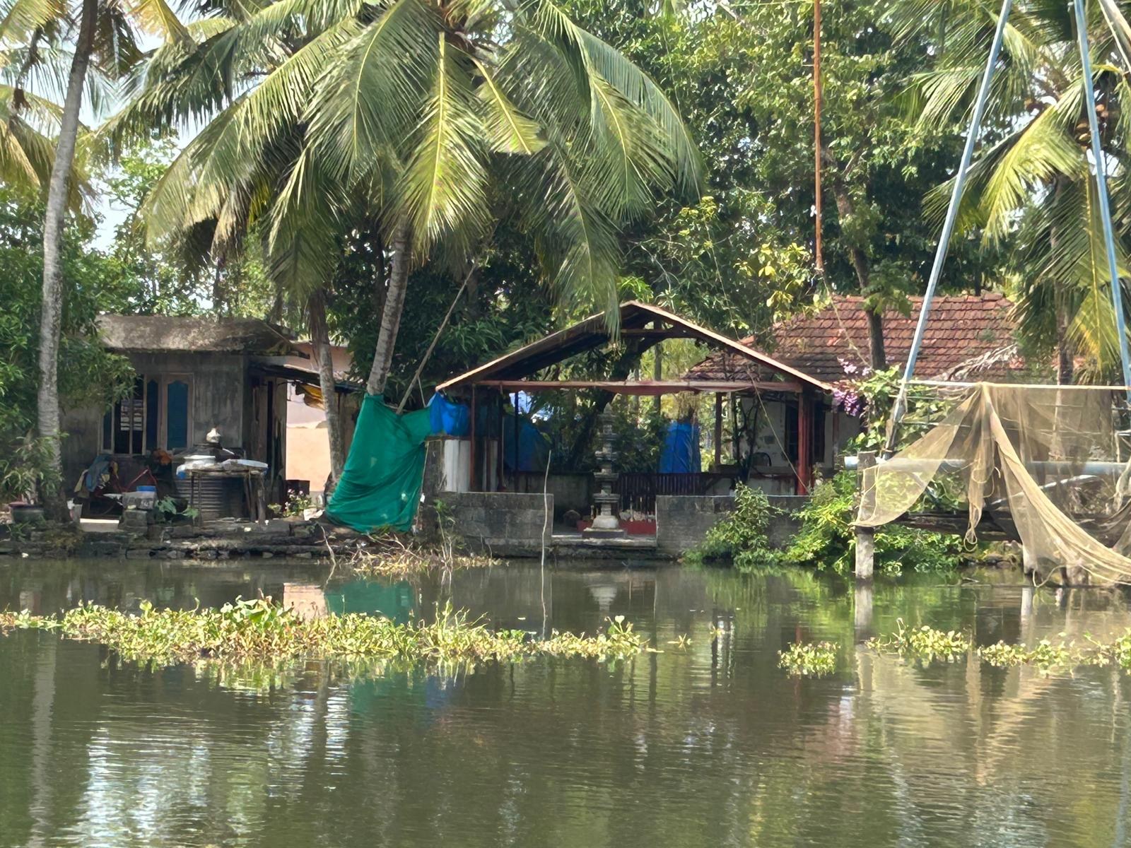 A home beneath coconut palms on Garlic Island
