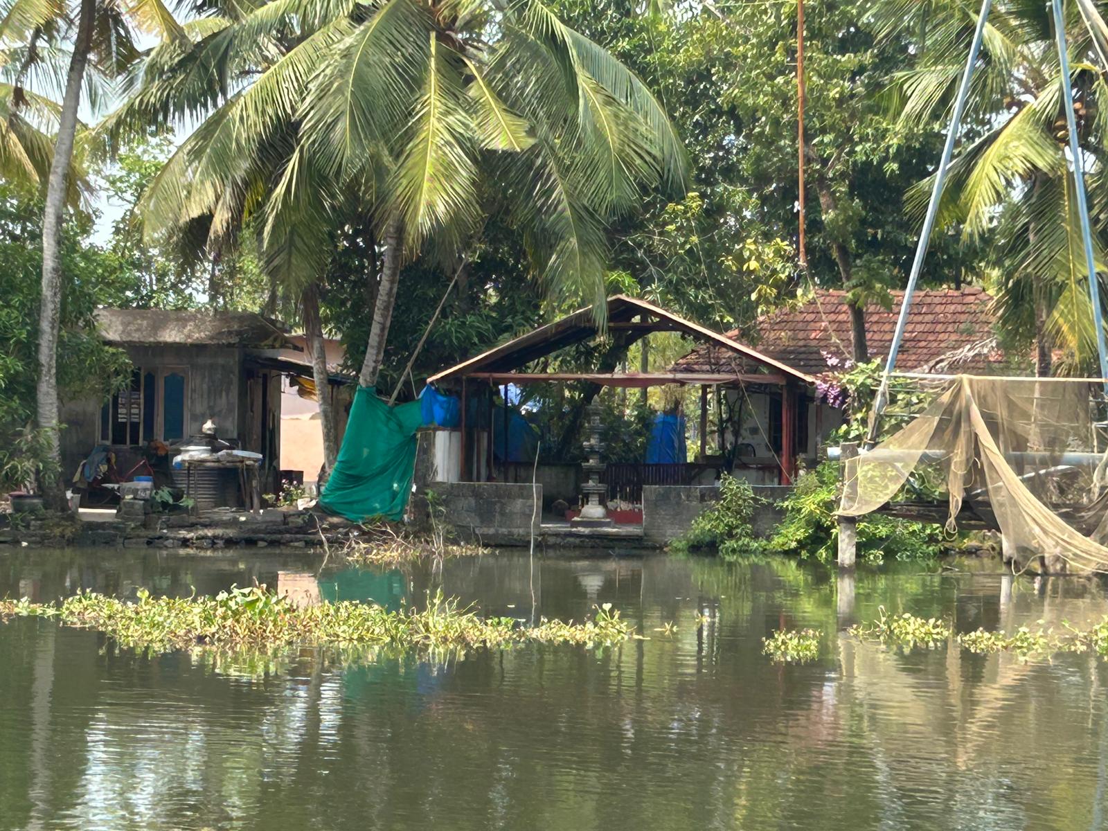 Waterside home under the palms